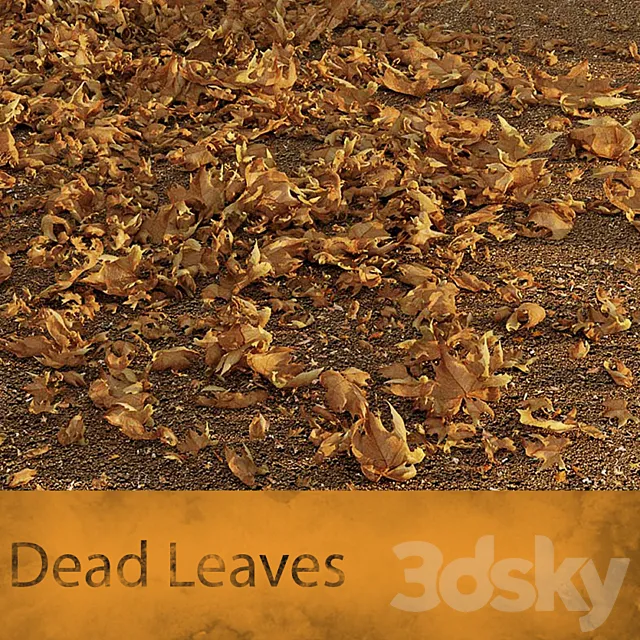 Dead Leaves 3DModel Dead Leaves 3DModel
