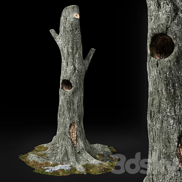 Dead tree Chestnut 3D Model Dead tree Chestnut 3D Model