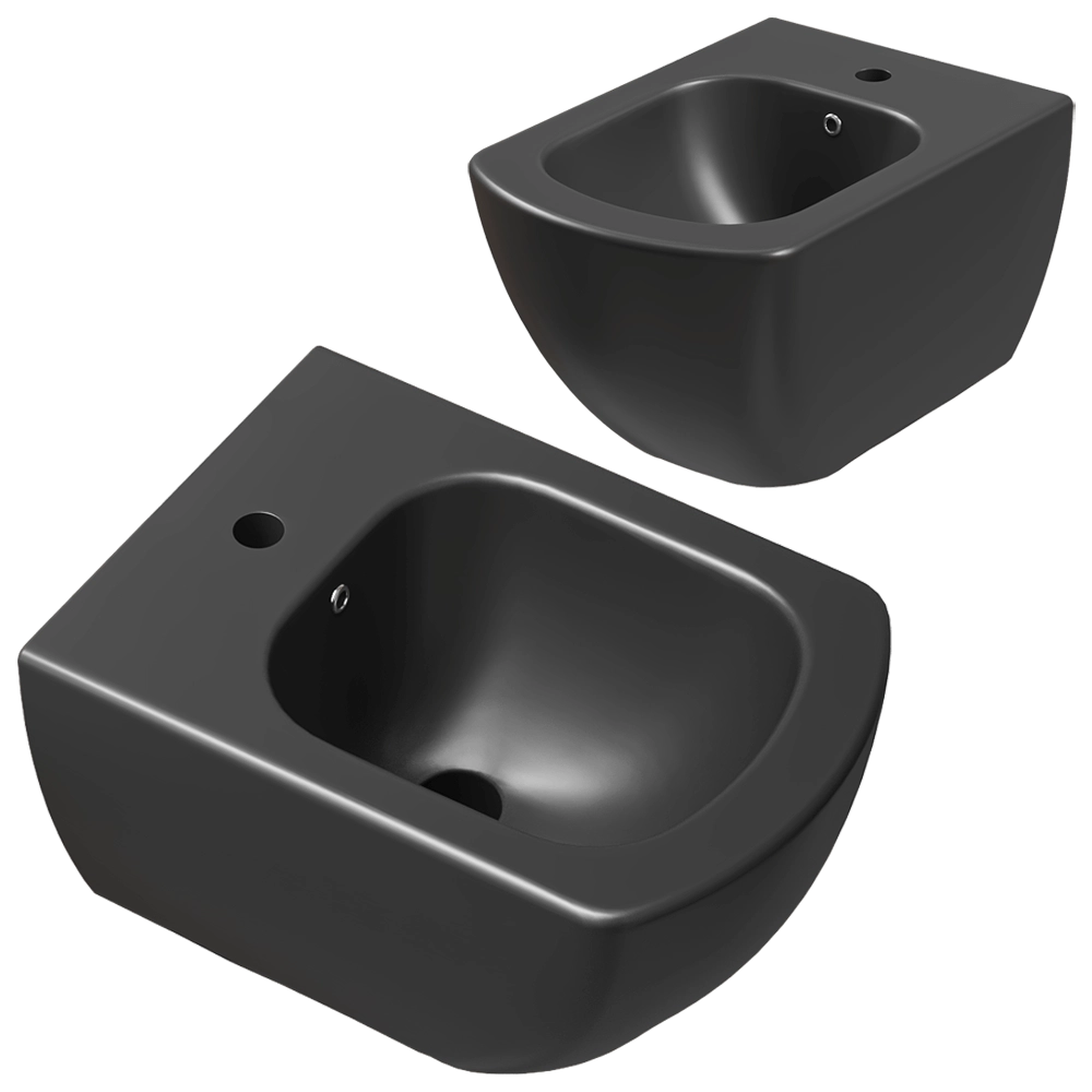 Deante – Bidet Peonia 3D Model