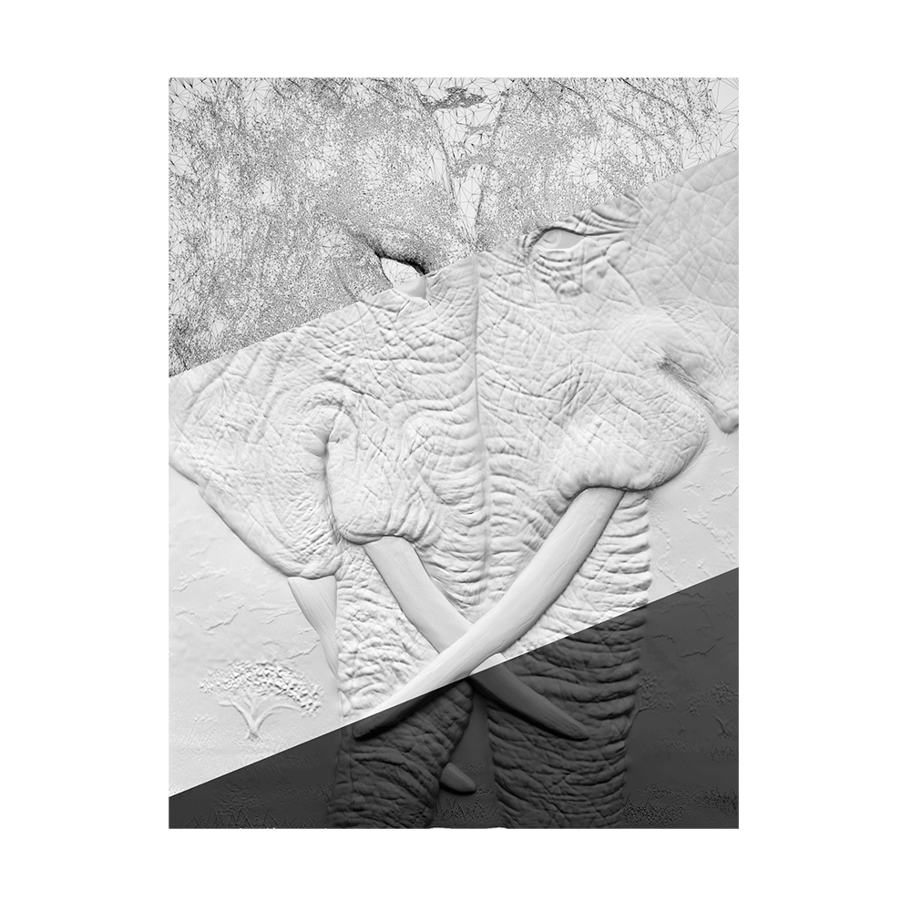 Deco Line – Dilemma 3D Model