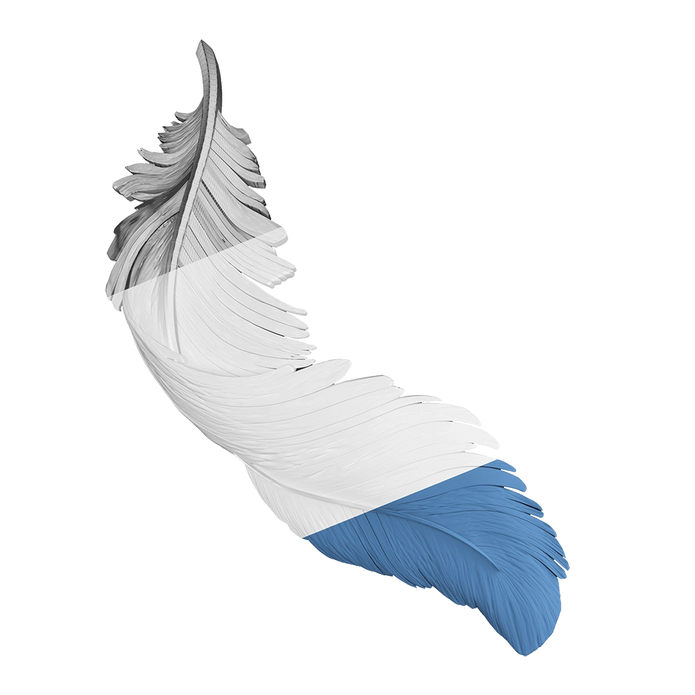 Deco Line – Feather 3D Model