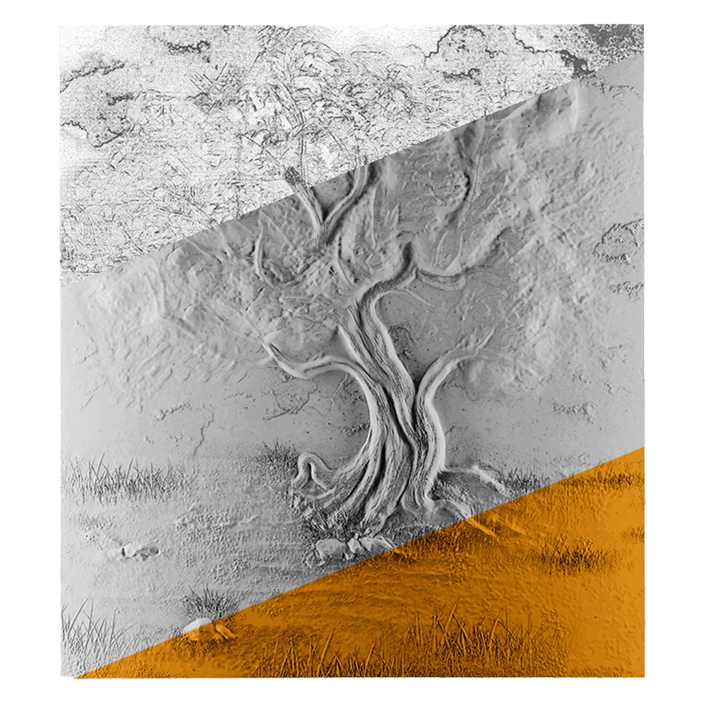 Deco Line – La Vie 3D Model