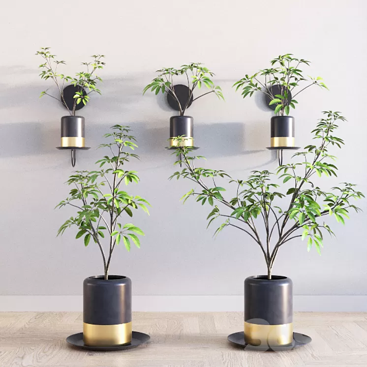 Deco Plants Set 1 3D Model