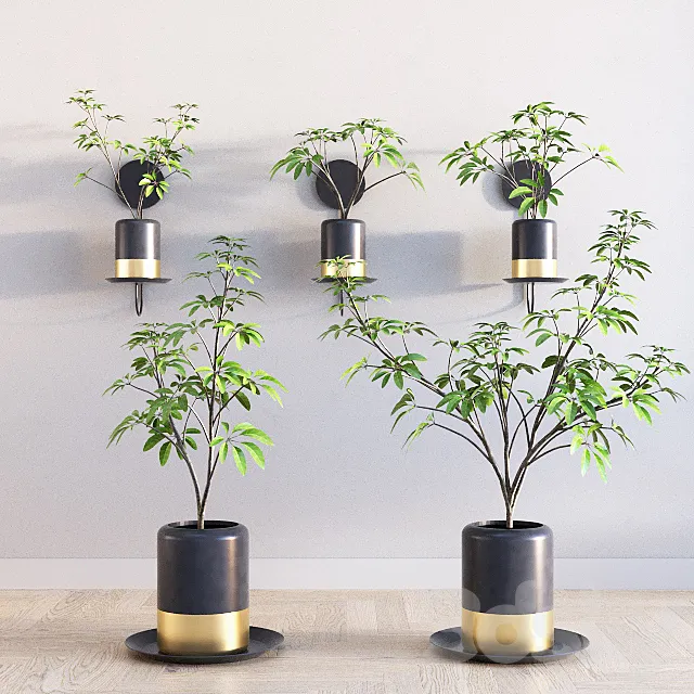 Deco Plants Set 1 3DModel Deco Plants Set 1 3DModel