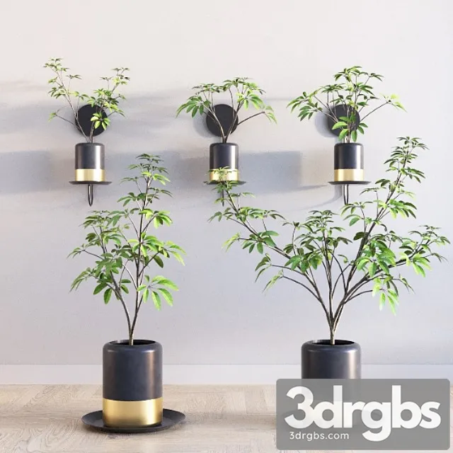 Deco plants set 1 Deco plants set 1