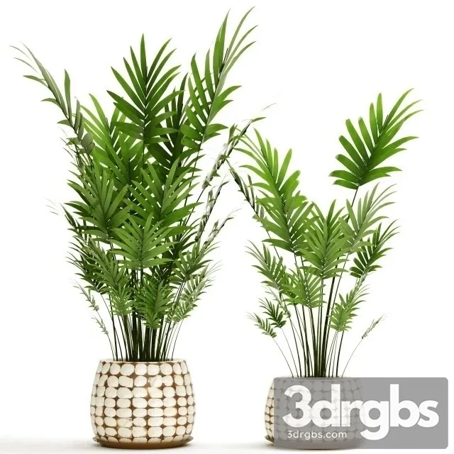 Decor Palms Set 3D Model Download