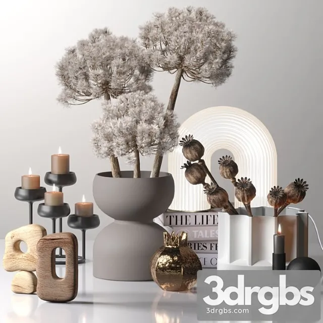 Decor Set 03 with fluffy dried flower 3D Model Download Decor Set 03 with fluffy dried flower 3D Model Download