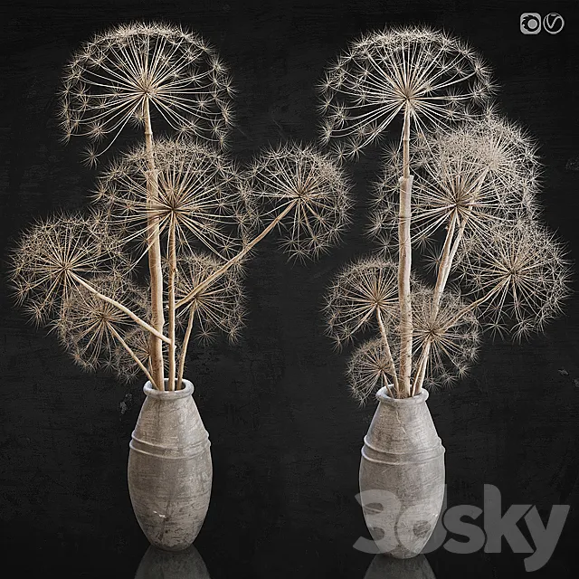 Decor set 11 Heracleum plant 3DModel Decor set 11 Heracleum plant 3DModel