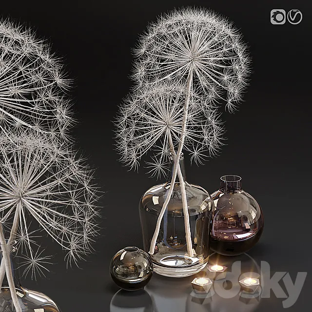 Decor set 13 Heracleum plant white 3DModel