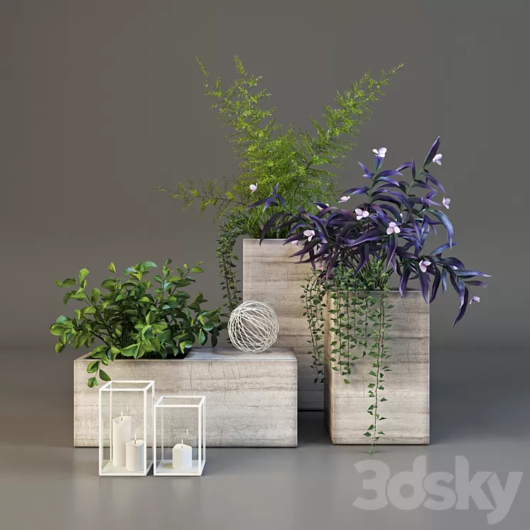 Decor set with plants 3D Model Decor set with plants 3D Model