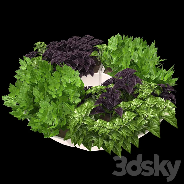 Decor with herbs 3D Model Decor with herbs 3D Model