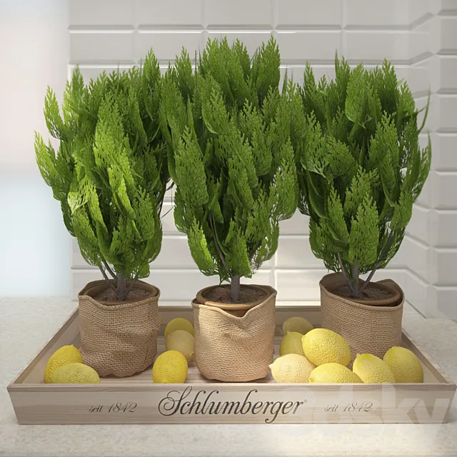 Decor with lemon 3D Model