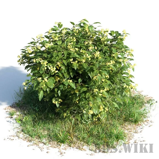 decoration – Allamanda 3D Model decoration – Allamanda 3D Model