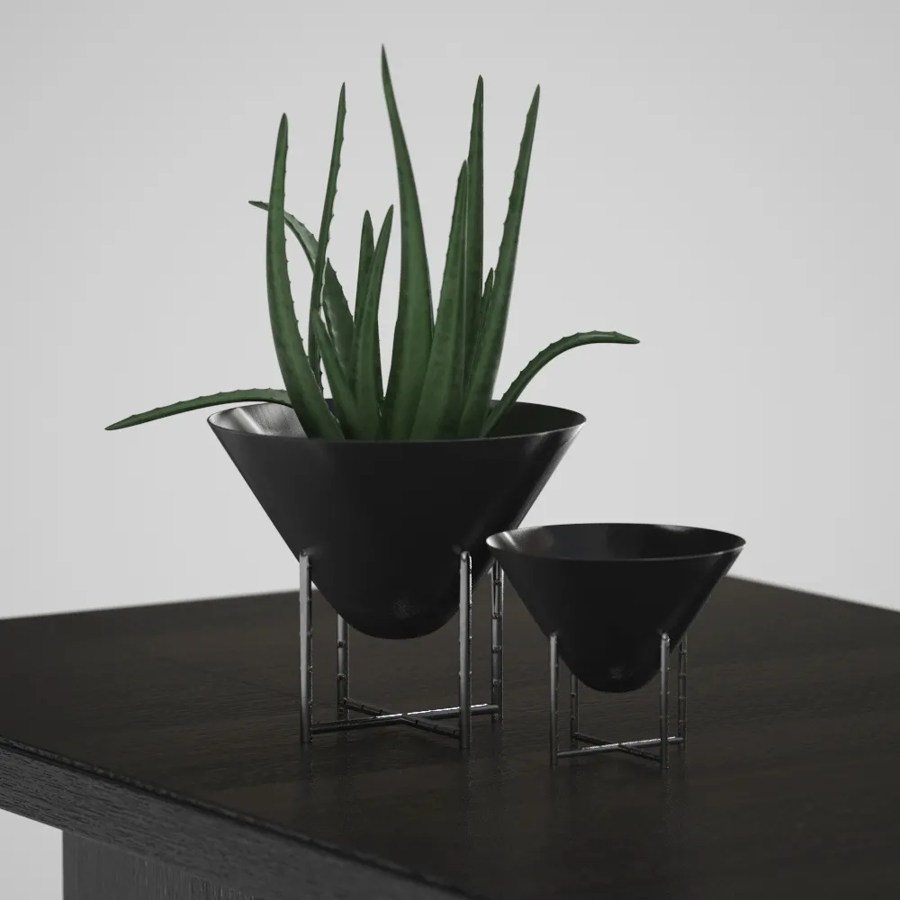 decoration – Aloe vera decvase 3D Model