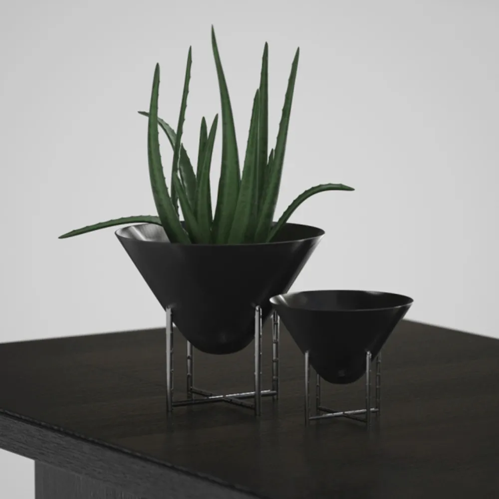 decoration – Aloe Vera in a Vase 3D Model