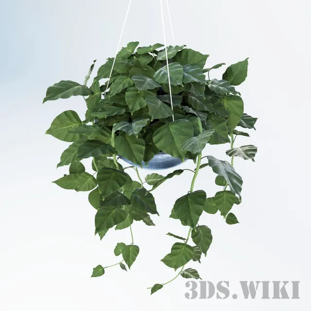 decoration – Ampel plants in hanging pots 3D Model