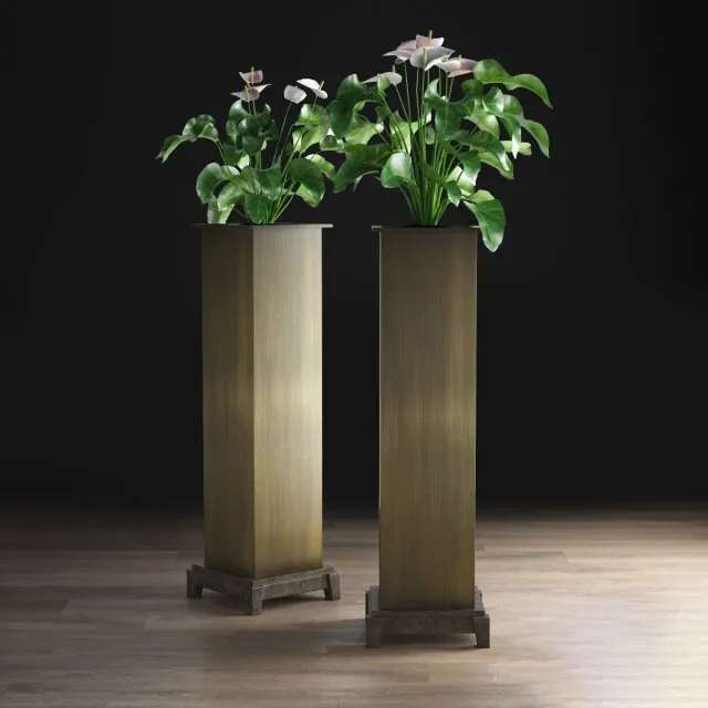 decoration – Anthurium 3D Model