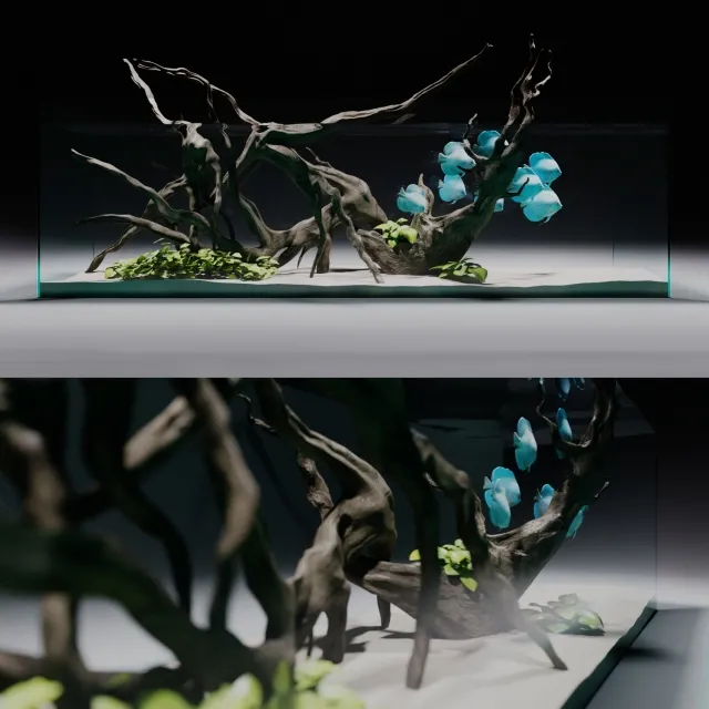 decoration – Aqua-hardscape 3D Model