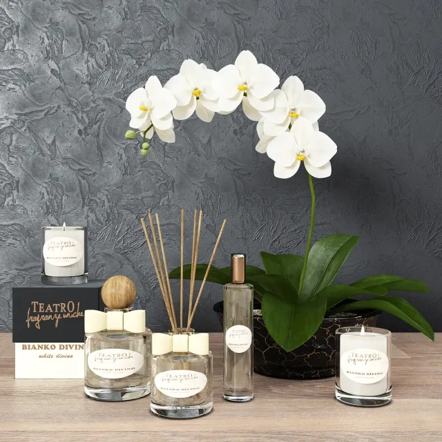 decoration – Aromas house Teatro Fragranze 3D Model