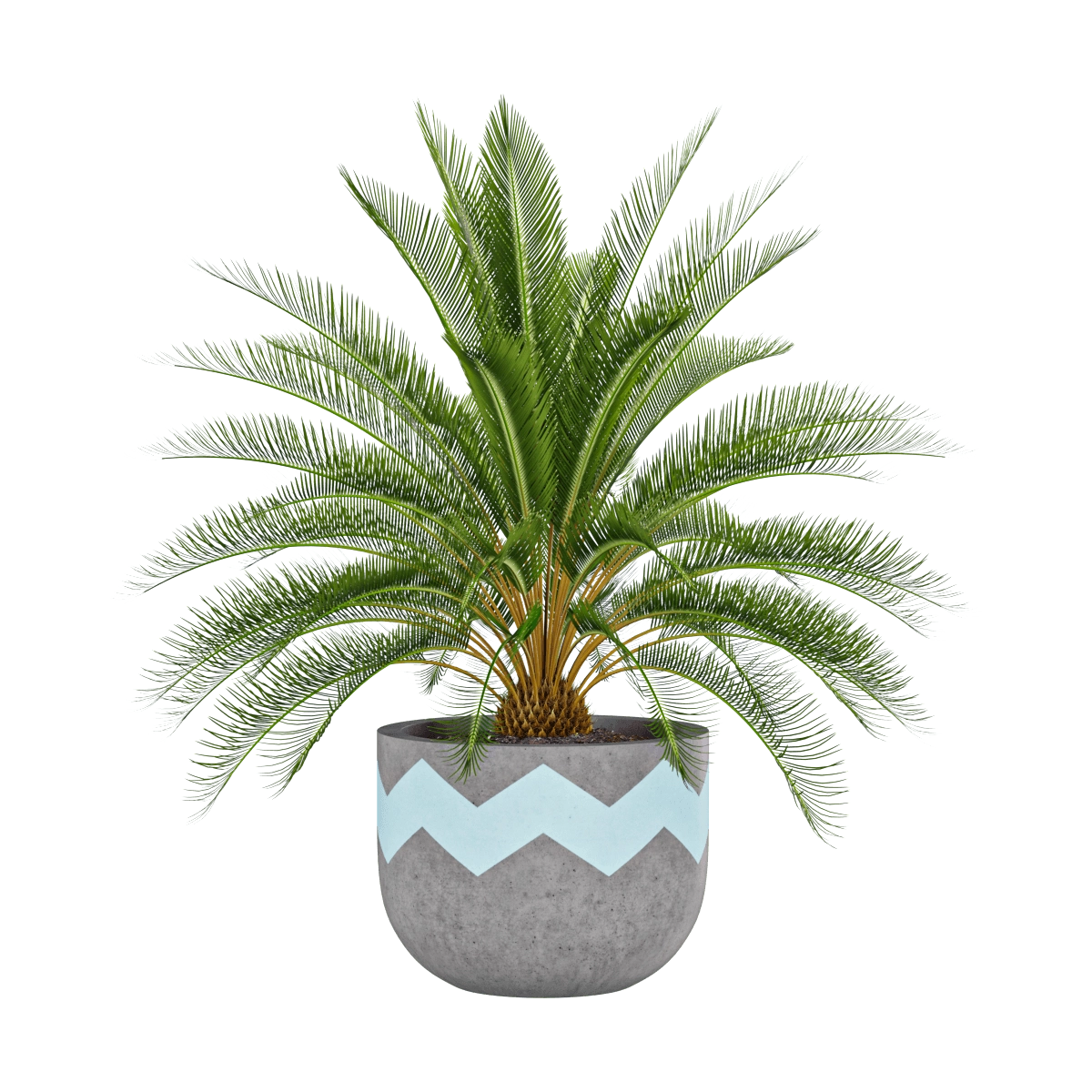 decoration – Artificial palm plant 3D Model