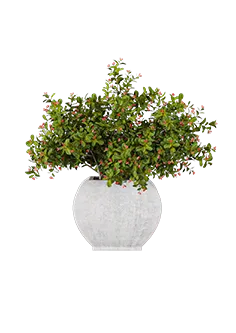 decoration – Artificial plant in a vase 3D Model