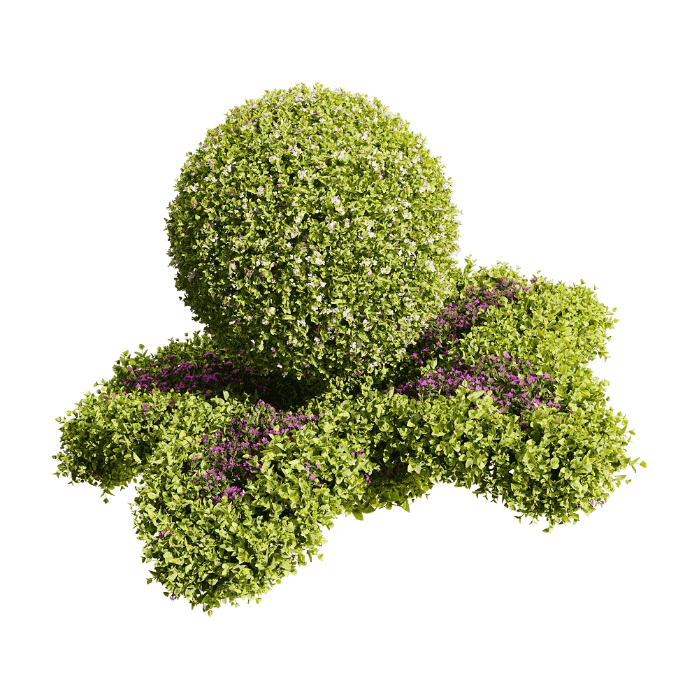 decoration – Bacopa diffusa 5 3D Model decoration – Bacopa diffusa 5 3D Model