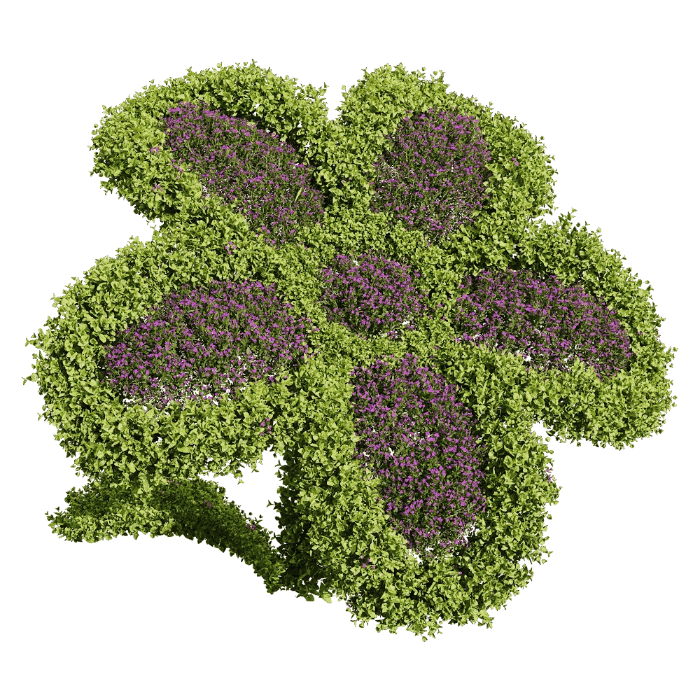 decoration – Bacopa diffusa 6 3D Model decoration – Bacopa diffusa 6 3D Model