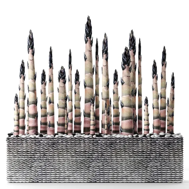 decoration – Bamboo 18 3D Model decoration – Bamboo 18 3D Model