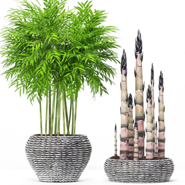 decoration – Bamboo 19 3D Model decoration – Bamboo 19 3D Model