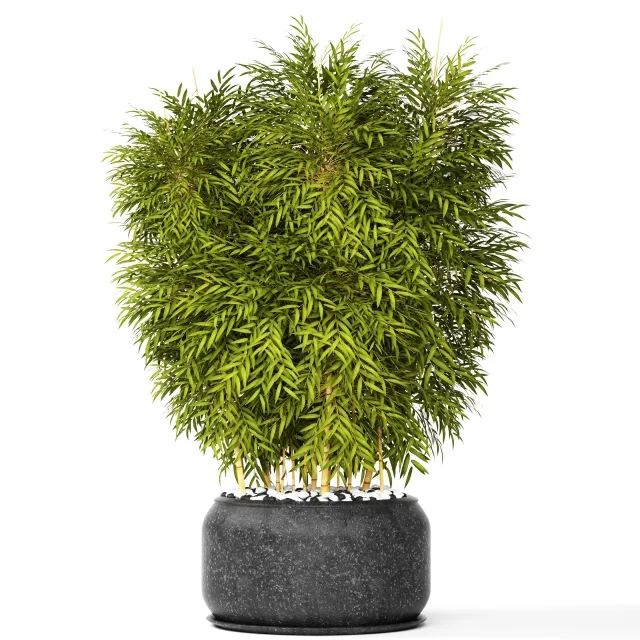 decoration – Bamboo 3D Model decoration – Bamboo 3D Model