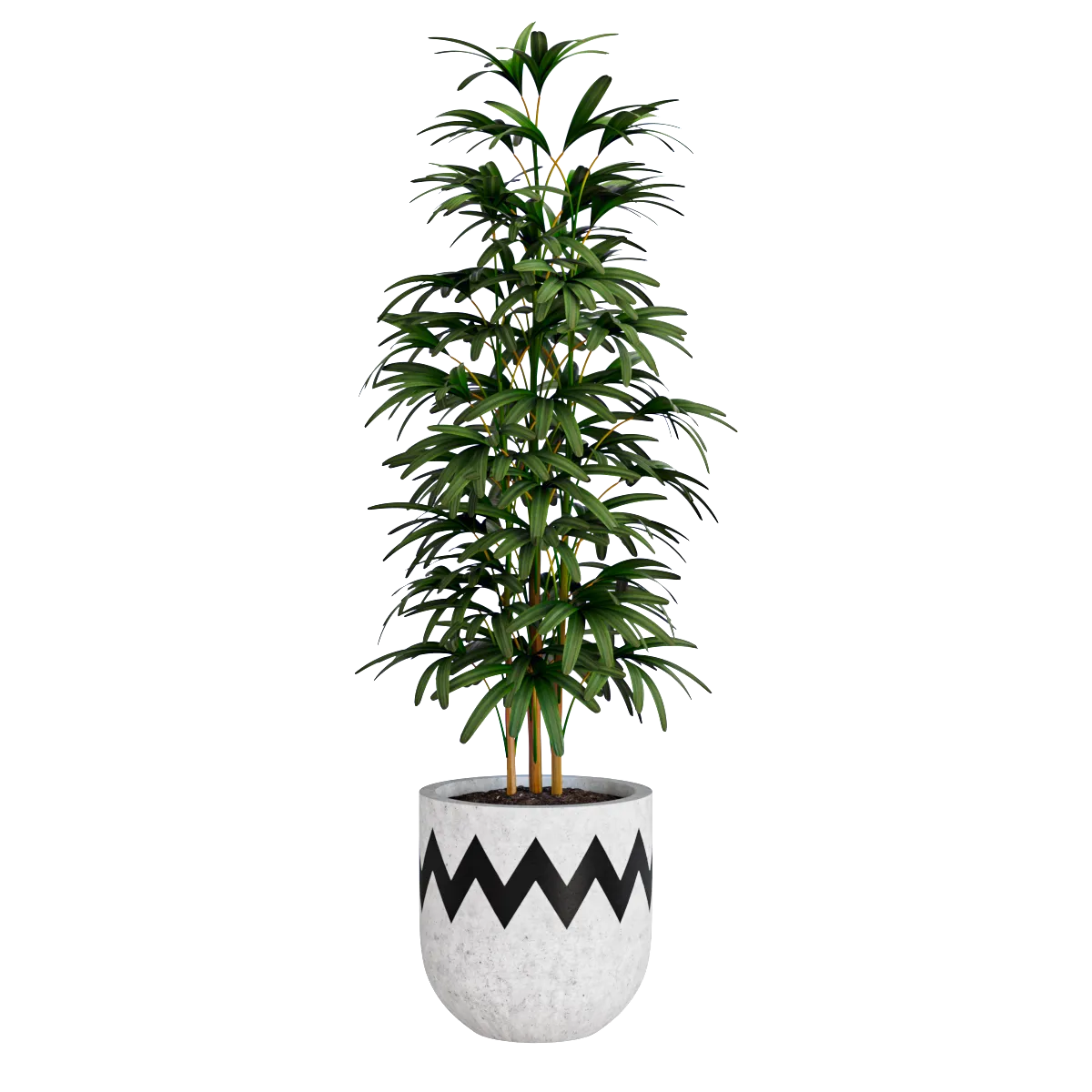 decoration – Bamboo plant 3D Model