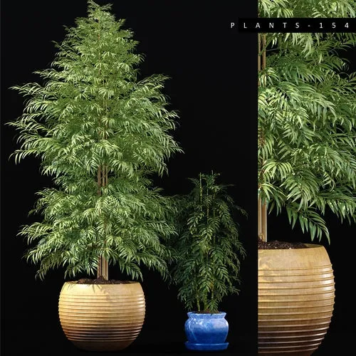 decoration – BAMBOO PLANTS 154 3D Model decoration – BAMBOO PLANTS 154 3D Model