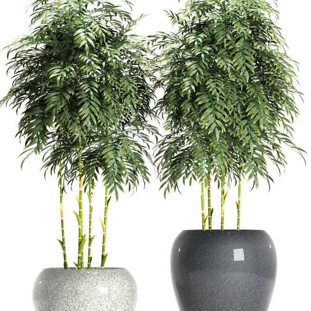decoration – BAMBOO PLANTS 96 3D Model decoration – BAMBOO PLANTS 96 3D Model