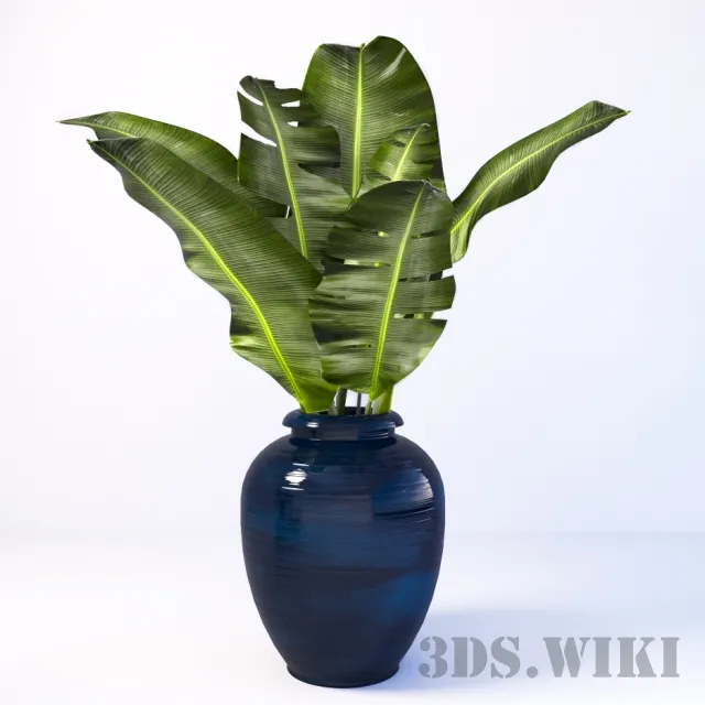 decoration – Banana leaves in a vase 3D Model