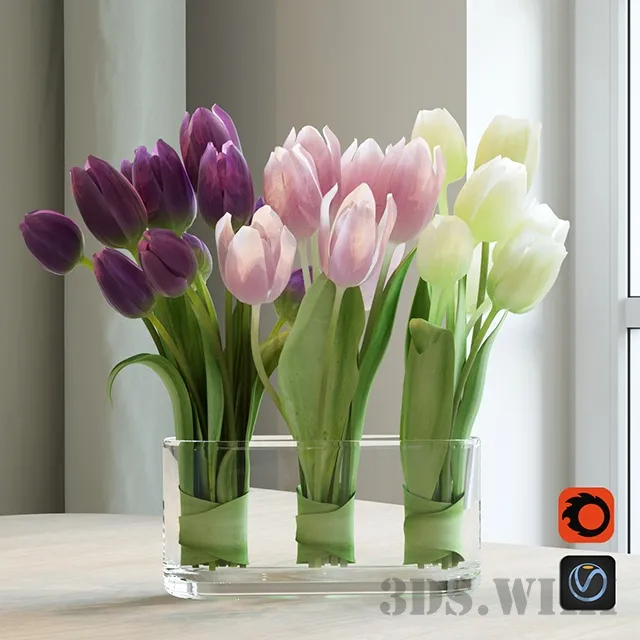 decoration – Beautiful bicolor tulips 3D Model