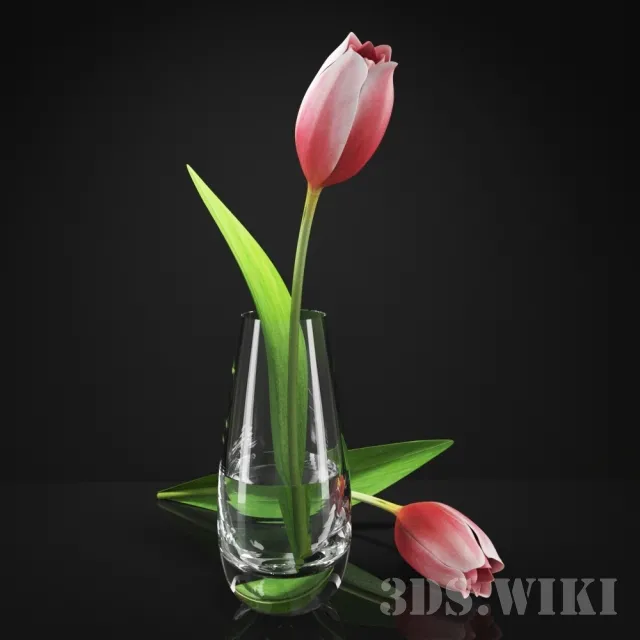 decoration – Beautiful flowers for decoration 3D Model