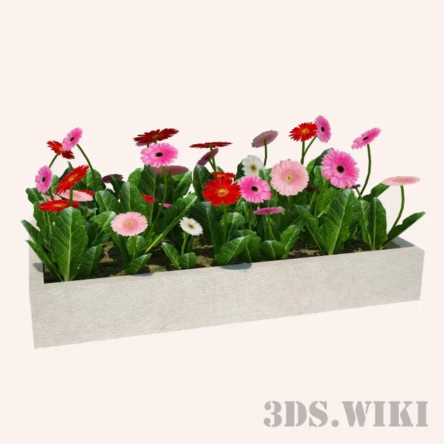 decoration – Beautiful flowers for the lawn 3D Model