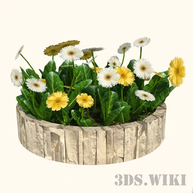 decoration – Beautiful flowers in a round wooden pot 3D Model
