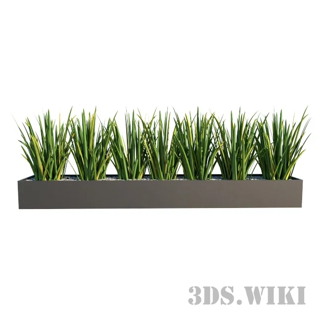 decoration – Beautiful indoor plants 3D Model