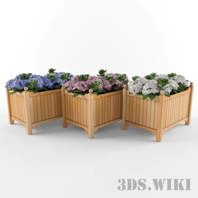 decoration – Beautiful multicolored flowers for decoration 3D Model