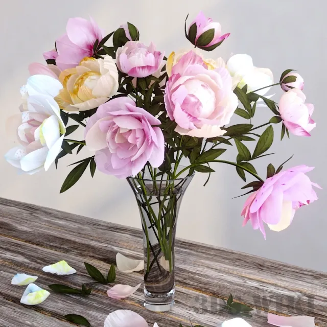 decoration – Beautiful peonies in a vase 3D Model