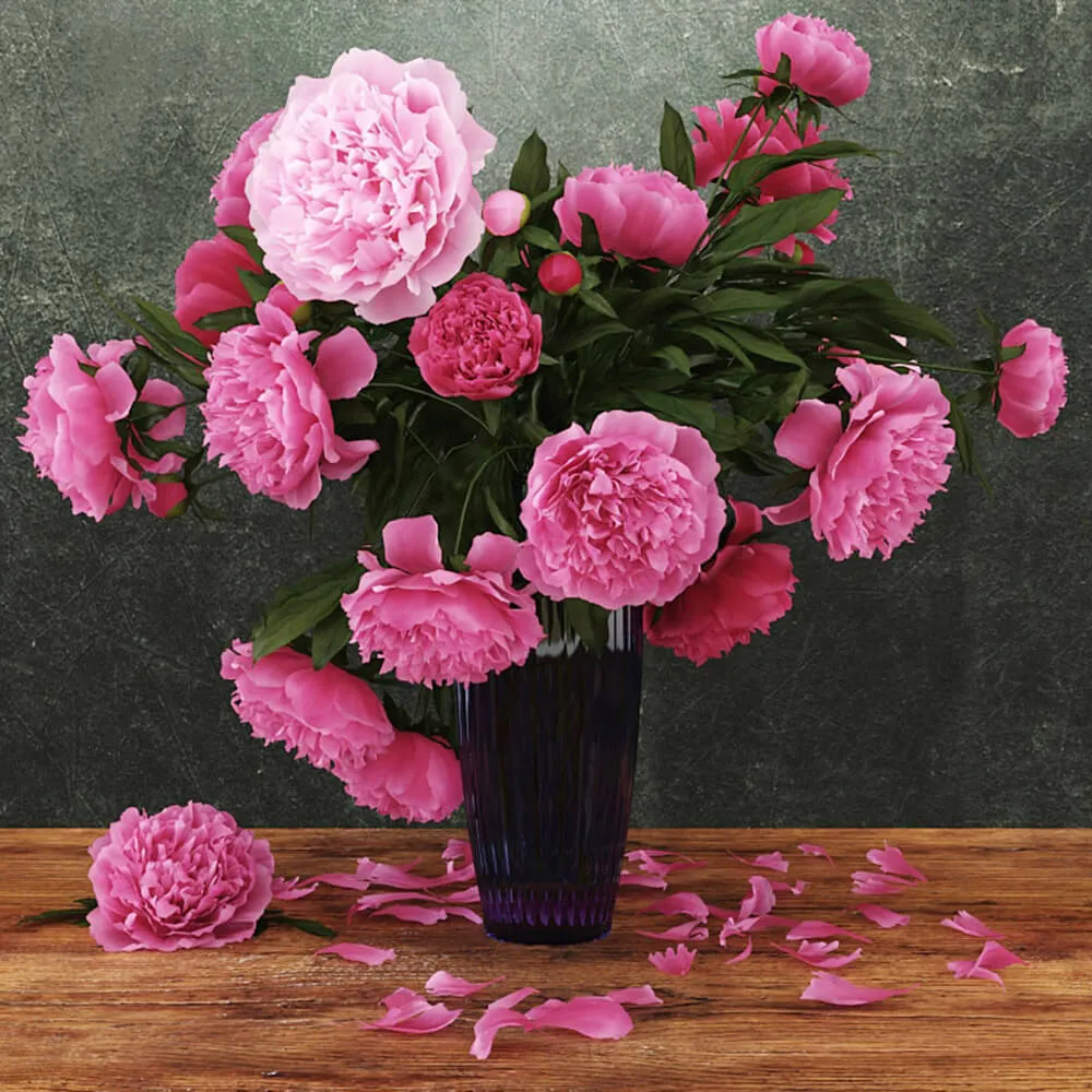 decoration – Beautiful pink peonies 3D Model