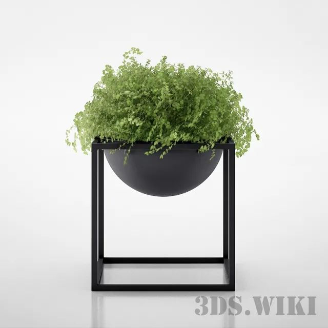 decoration – Beautiful plant – bush 3D Model