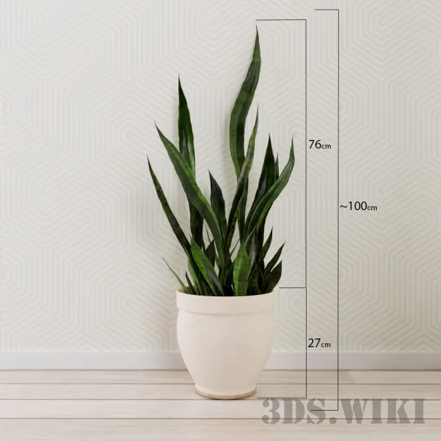 decoration – Beautiful plant with long leaves 3D Model