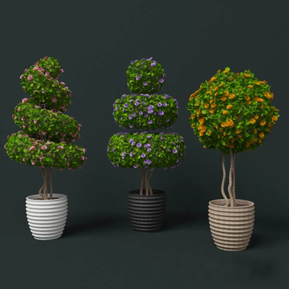 decoration – Beautiful plants – flowers 3D Model