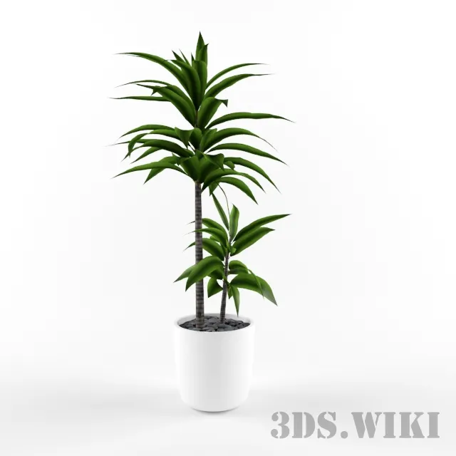 decoration – Beautiful plants in a pot 3D Model