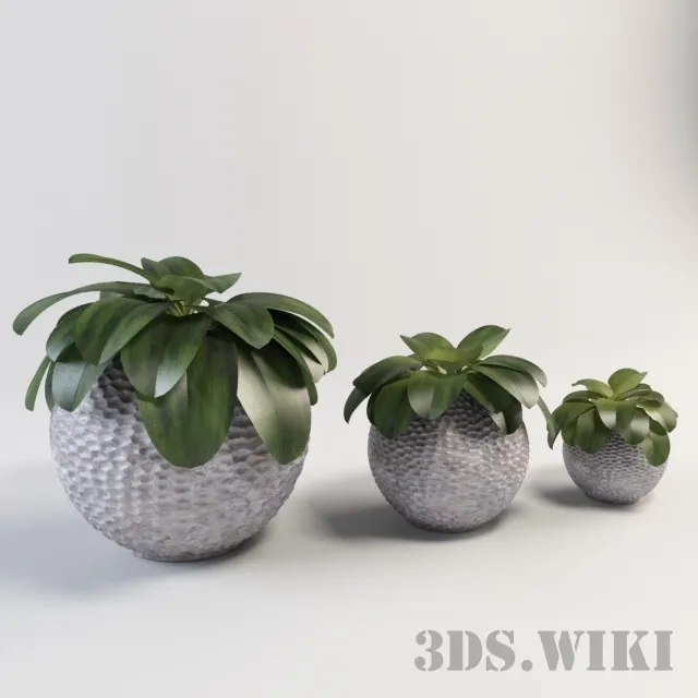 decoration – Beautiful plants in beautiful vases 3D Model