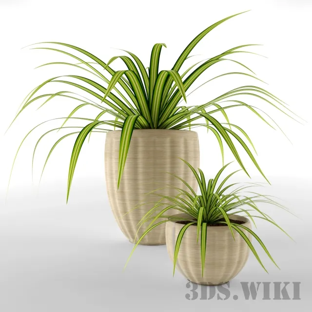 decoration – Beautiful Potted Plant 3D Model