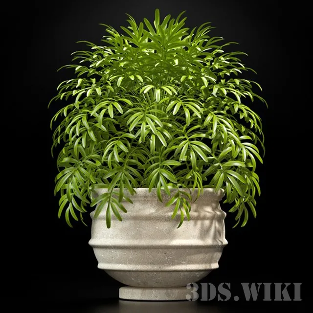 decoration – Beautiful potted plant 3D Model