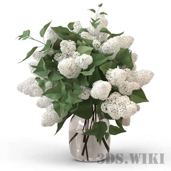 decoration – Beautiful white lilac 3D Model
